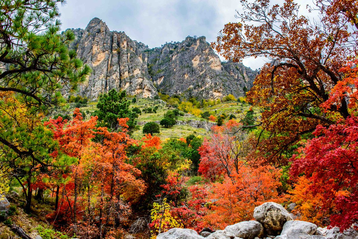 Guadalupe Mountains National Park preserves the rugged spirit and remote beauty of the American West. In these ancient mountains that rise high into the Texas sky, you’ll find spectacular vistas, diverse landscapes, and brilliant autumn color.

Photo by Tim Speer