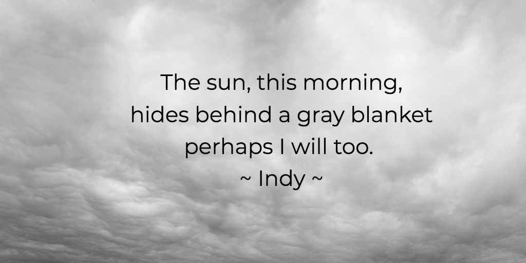 Happy Haiku Monday! Yeah, a gray day today ... but that's okay because i'm trying to write the last few chapters for the newest Fox Walker Novel: Avenge.  And Yes, I did stay under the covers a bit longer than usual. Ha
Here's to a new week leading up to Thanksgiving!