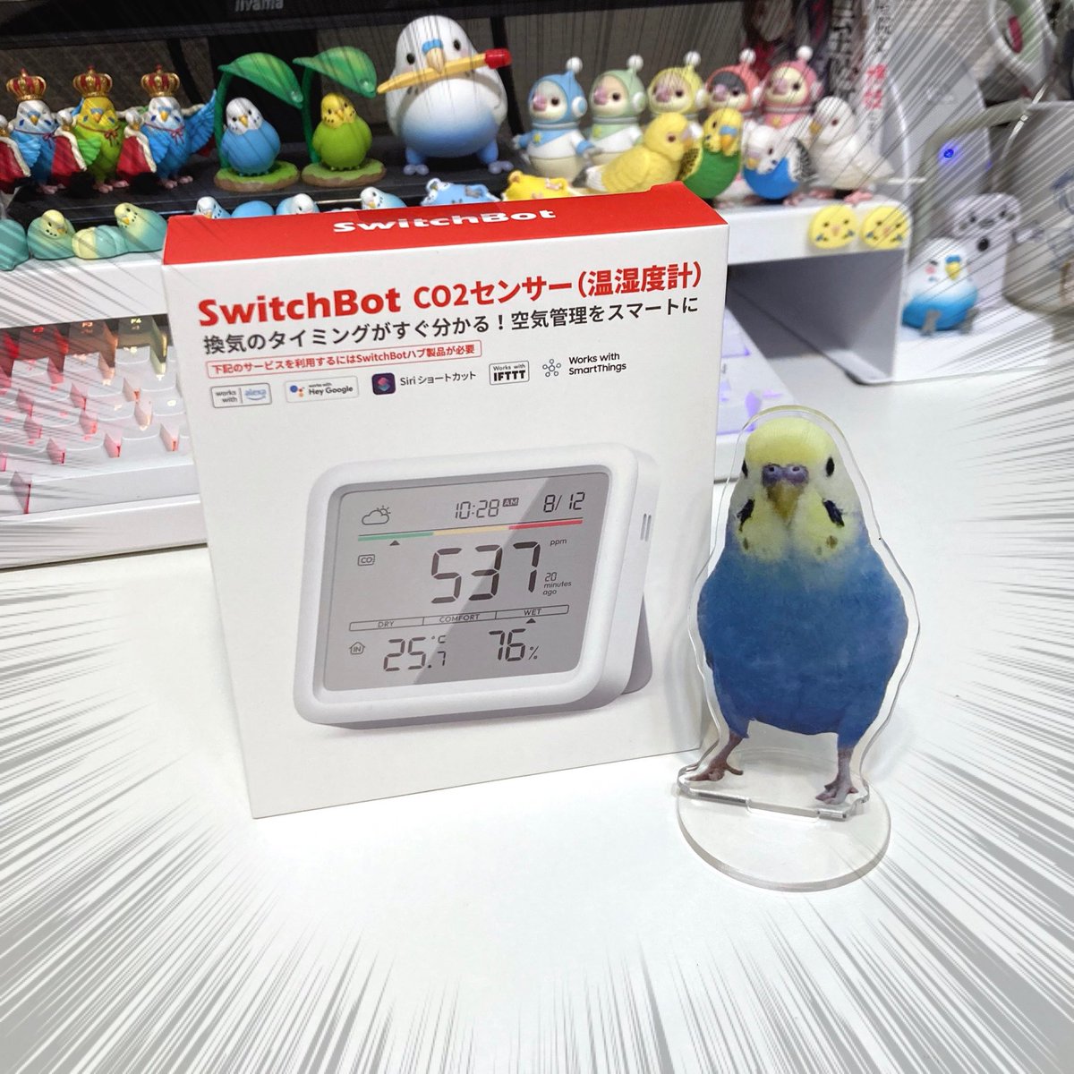 くーちゃんです Manga] 