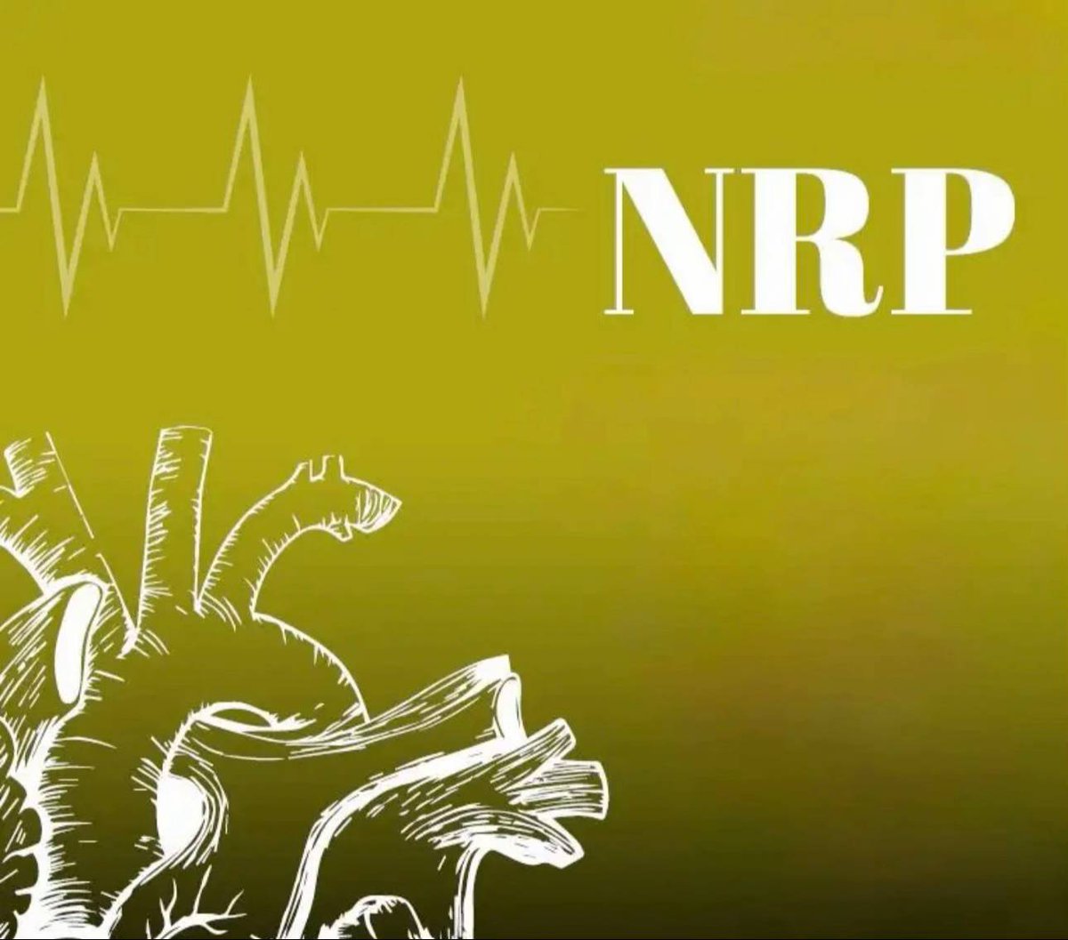 #بث_مباشر #الاهلي_الشارقه
متاح الآن التسجيل في دورات المعتمدة:
BLS / CPR
ACLS / PALS
NRP
متاح شهادات ال ATLS - PHTLS
إضافة#ساعات_تعليم_طبي(CME)
سجّل عبر الواتس اب:
wa.me/966597814368
#هيئة_التخصصات_الصحية
الشوط الثاني الاهلي &amp; الشارقه
صالح ابو الشامات ايبانيز رياض محرز