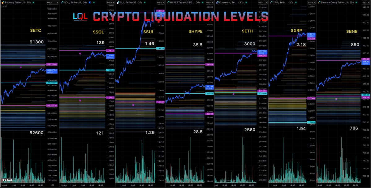 MartyParty의 암호화폐 청산 레벨 차트