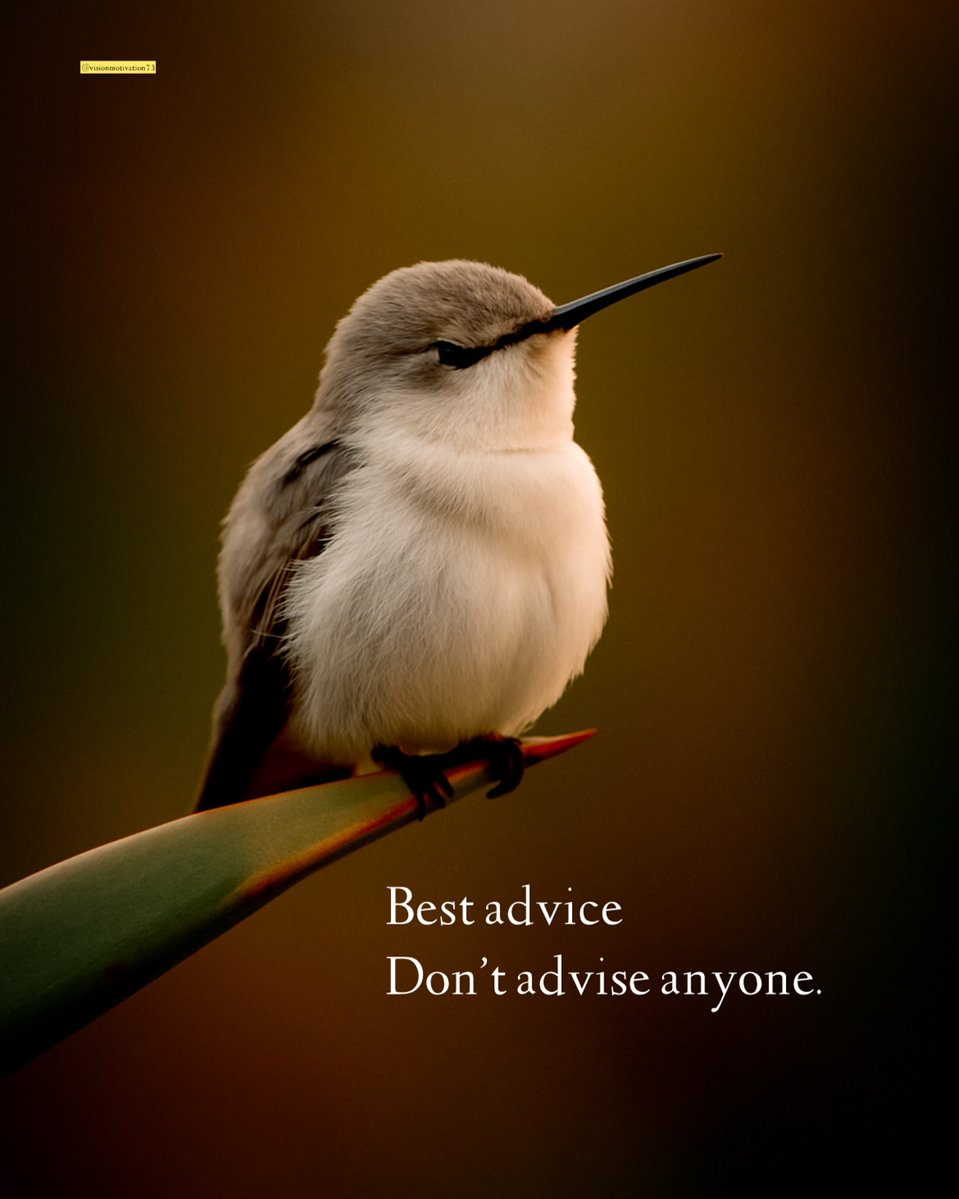 Mind Essentials (@mind_essentials) on Twitter photo 