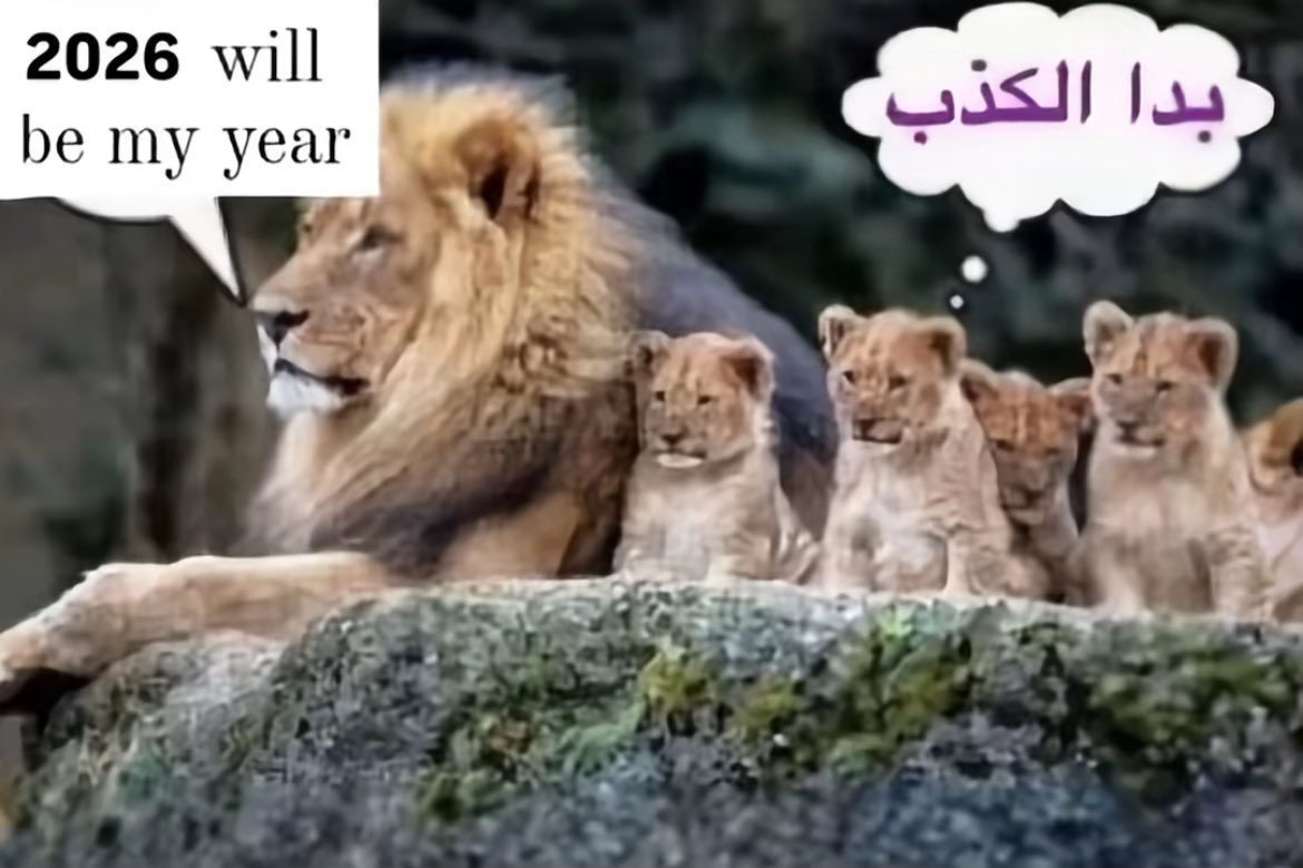 hatefulpersonn's tweet image. 