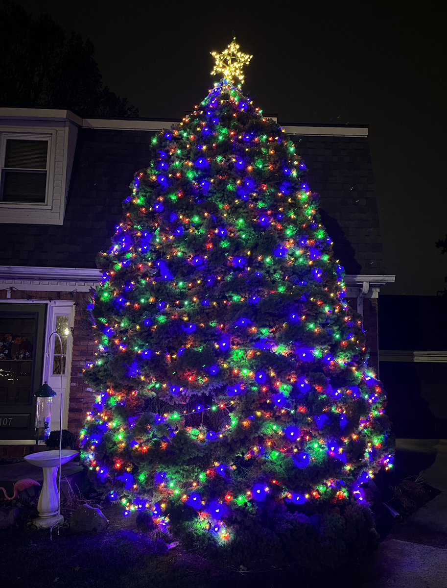 LiveaMemory's tweet image. It’s Beginning to Look A Lot Like Christmas!🎄
The Tree Gets Taller Every Year,
It Takes Time to Get the Lights Ready,
And It Consumes a Whole Afternoon -
But After the Sun Goes Down and the Lights Go On Seeing Our Christmas Tree Aglow Makes It All Worth It.😀👍
#ChristmasTree