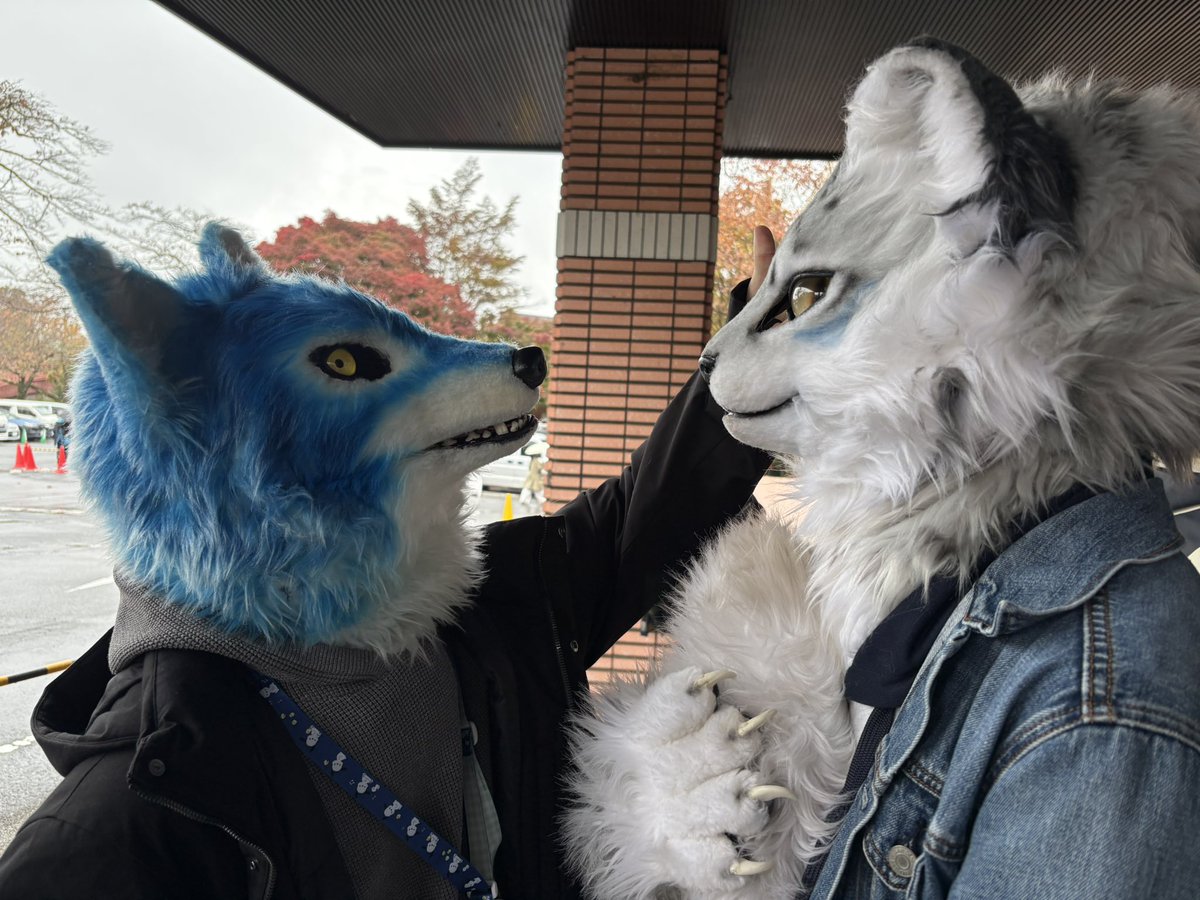 🔰フィクサー/FiXer▶️kemocon▶️獣身売買4▶️jmof (@FiXer222222