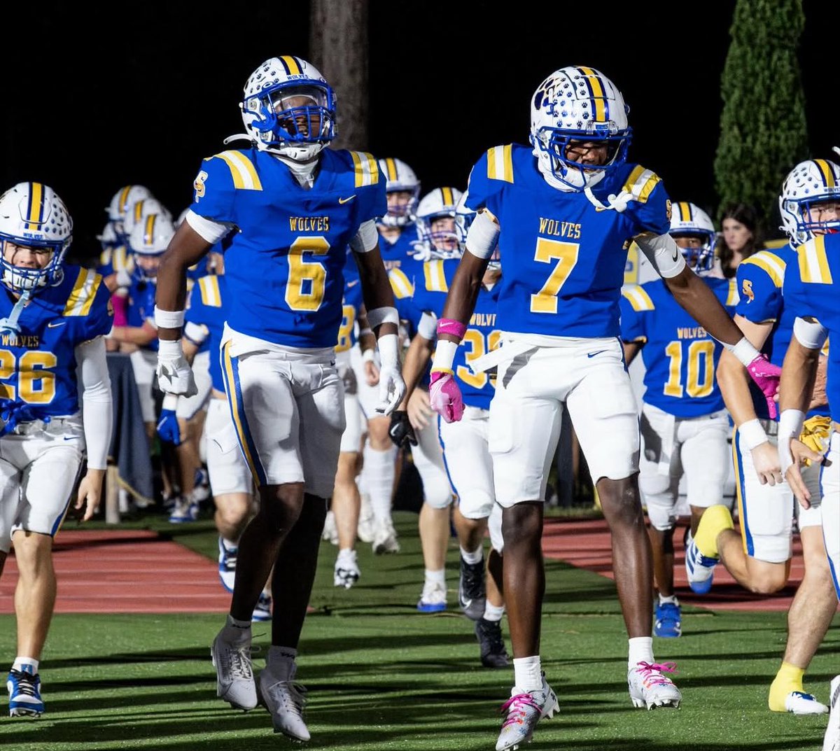 ReynisLMP's tweet image. The guys exceeded all expectations this season! Week after week, they held their own against some phenomenal talent as Sophomores. The growth and competitiveness throughout the year was exceptional! The real work starts now. 
Let’s Go🏴‍☠️ #GoWolves #RecruitStPauls