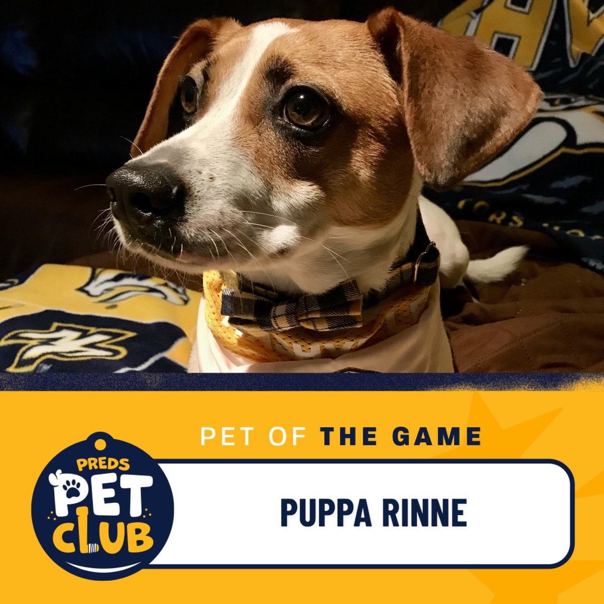 PredsFoundation's tweet image. 🐐