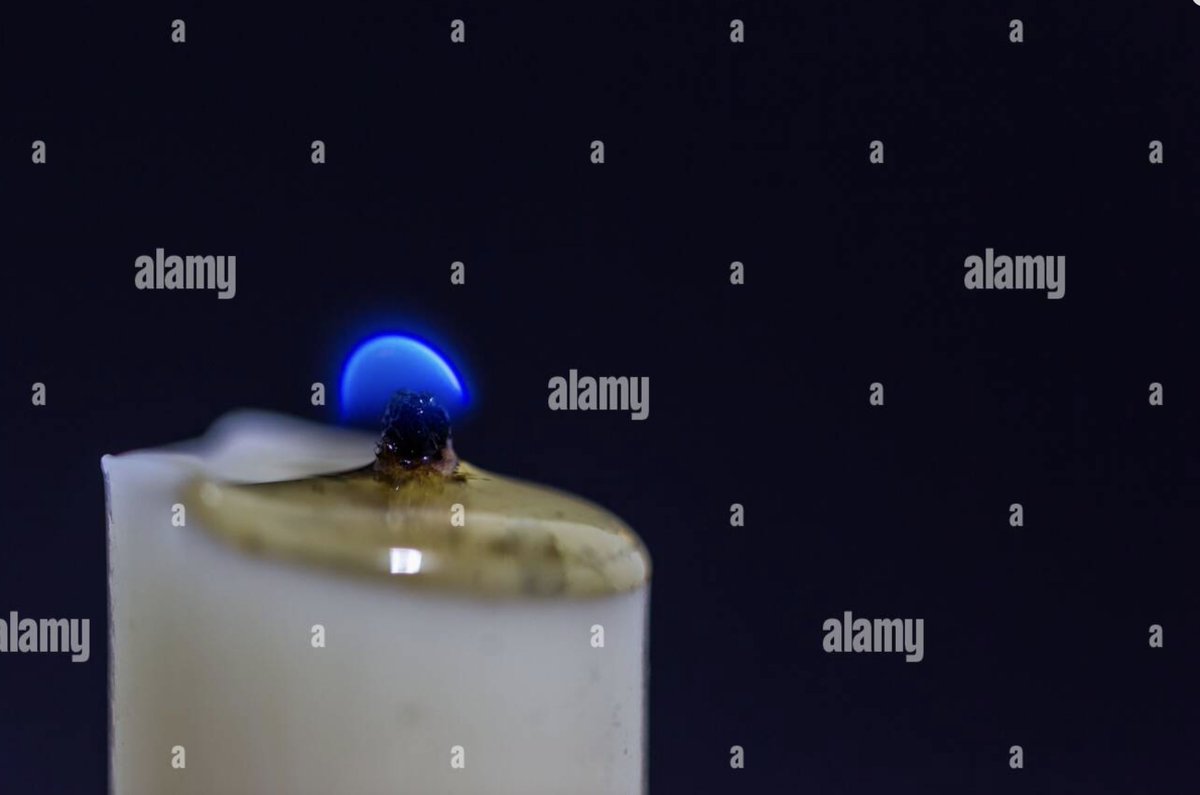 Eric Wall (@ercwl) / Posts / X