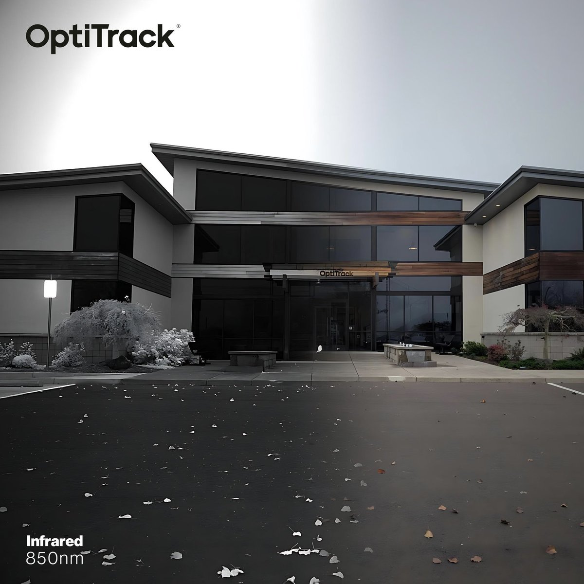 optitrack's tweet image. Ever wondered what the world looks like in infrared?

We’ve been experimenting…more soon! 

#optitrack #infrared #infraredphotography #motioncapture #850nm