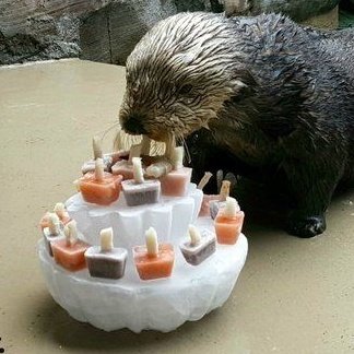 happy birthday to my favorite talented dancer 🎉🥳 

#타로생일_복복복해줘 
#AlwaysWithShotaro
#僕たちのチームにはショウタロウがいる