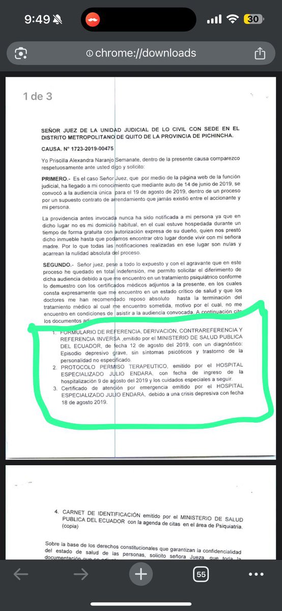 CeliaRea1equ's tweet image. Ya papito, descansa jaja. Cuenta quién es la supuesta testigo, Priscilla Naranjo Semanate, prófuga del Ecuador por su sin número de procesos judiciales. Igual de criminal que Xavier Jordan. Bien parado ese abogado, no se vendió al mejor postor, como Gallegos y Leon.