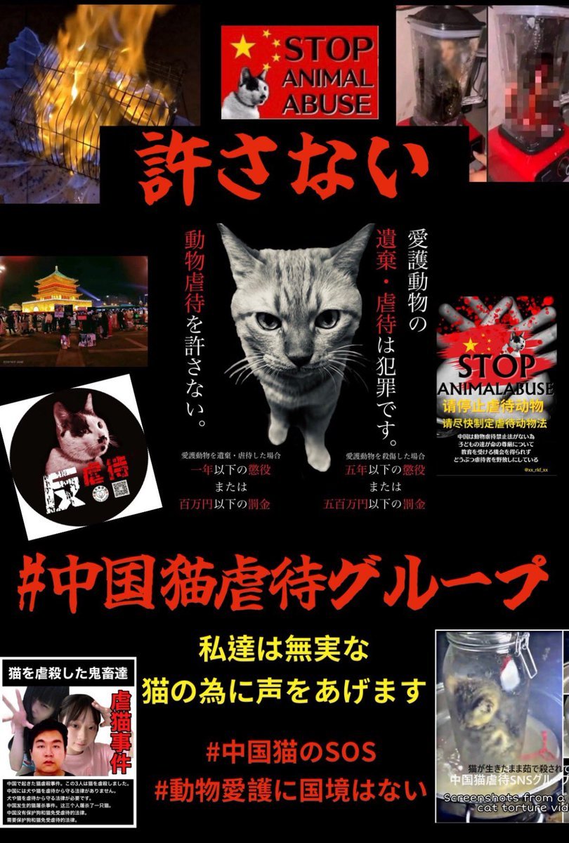 nimernight38961's tweet image. Wann spricht ihr endlich mal über die Katzen-Quälerei Gruppe in #China? So häufig kontaktiert und das Thema wird von euch ignoriert. Bestimmt, weil Katzen keine Kühe, Schafe, Fische oder Schweine sind .