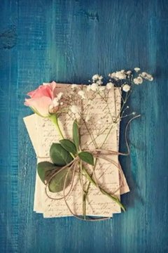 அஞ்சலில் 
அனுப்பப்படும் அன்புகள்
உதிராத பூக்கள் !

#தீtwitz