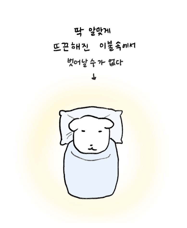 와 진짜 컬렉 열심히 했다..... 이제 자야지