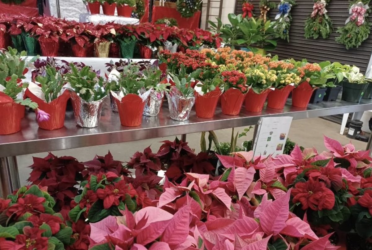 Pickens Tech tweet media