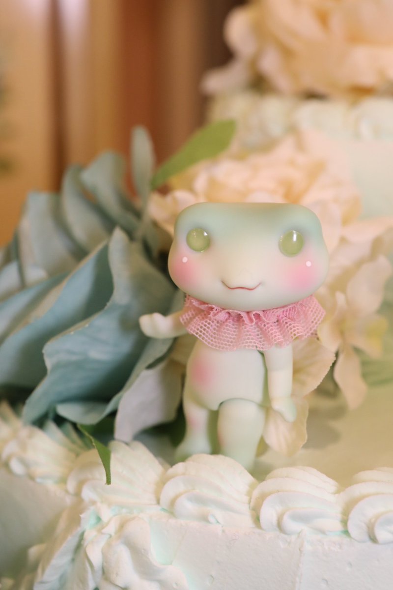 qQCjNxmH2dqbh's tweet image. この子と並べたらかわいいかなーと思って、また新しいカエルを注文してしまった…来月の受け取りが楽しみ…🐸