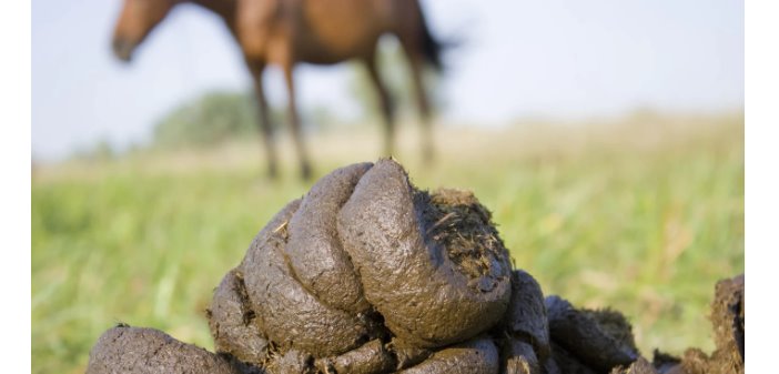 MosconRodriguez's tweet image. Galarza Fonda