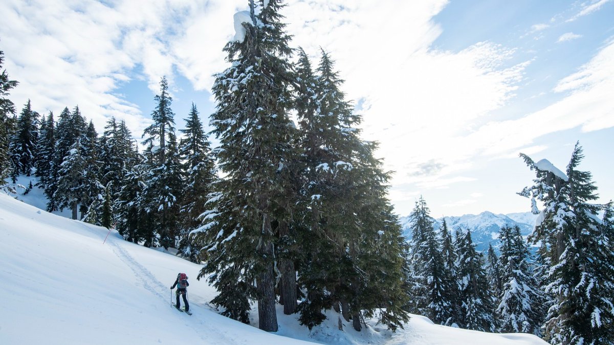 bchydro's tweet image. Stay prepared, stay safe. These 10 essential tips will help you navigate the backcountry this winter: bit.ly/43WjL2a