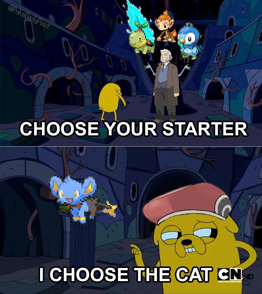 Pokémon Daily Post💫 tweet media