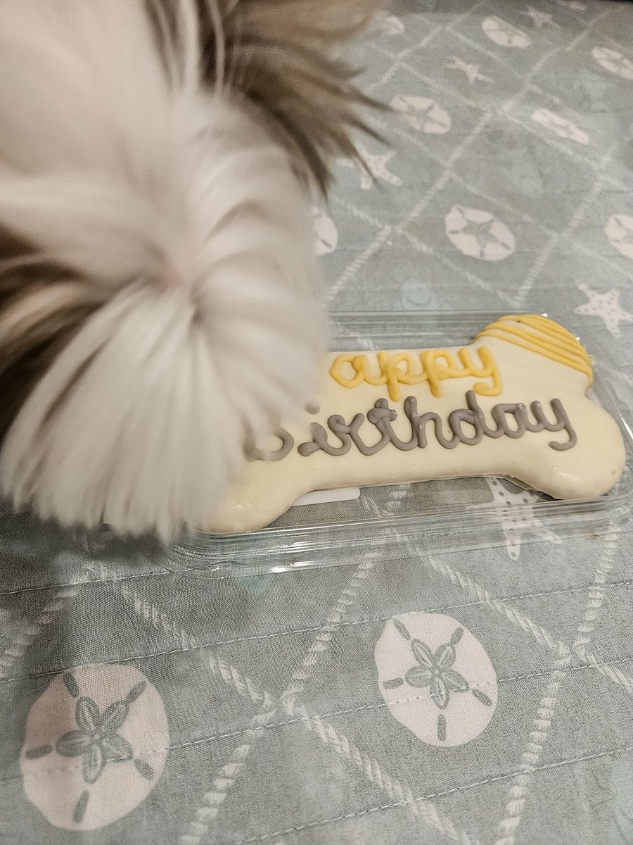 Yes, maya had a birthday cake..