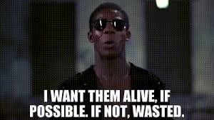 Jerry DiCarro tweet media