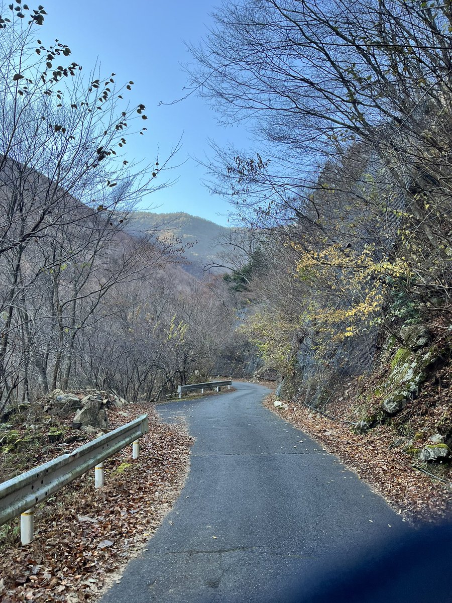 G9kxm1KEl4c62Ea's tweet photo. #サイクリング
#ロードバイク
#ヒルクライム
#行者環トンネル
#R309
今回の旅の復路
大峯山系を貫く1000m越えのトンネルへの道は激坂も少なく意外に楽で、前日の小南峠とは大違いで(笑)楽しく登れました
トンネル内は10年前と同じく真っ暗なので、ライト無しでは走って通過不可能😓 https://t.co/5EFZOOciMd