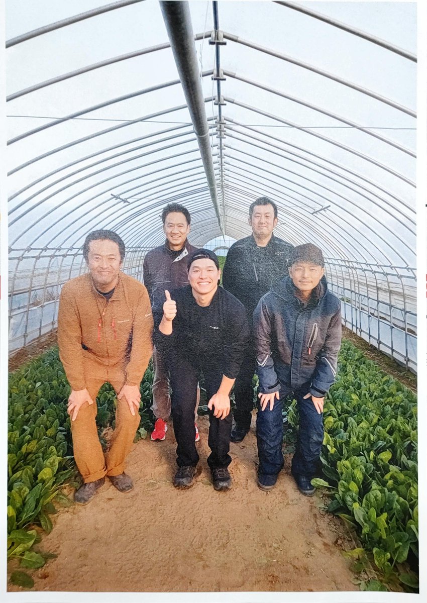 告知！！ 11月26日（水）18時配信開始✨️ TikTokerバヤシさんとJA太田