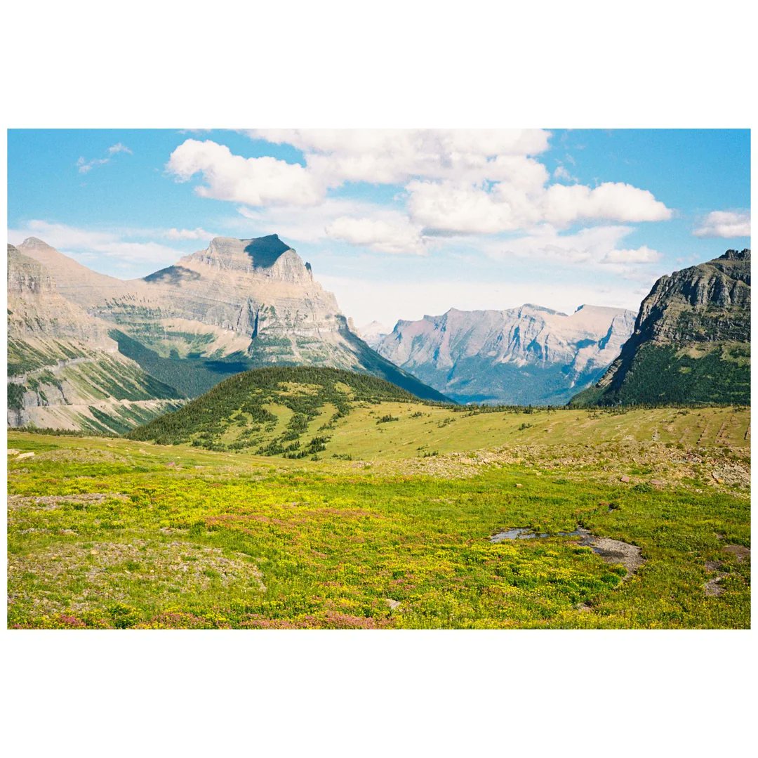 ryanphelan's tweet image. This past summer...