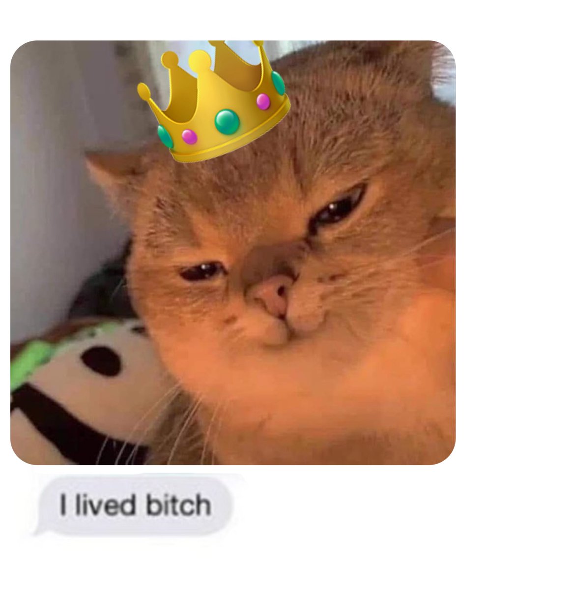 👑Your Imperial Highness | Villainous VTuber 🔞 tweet media