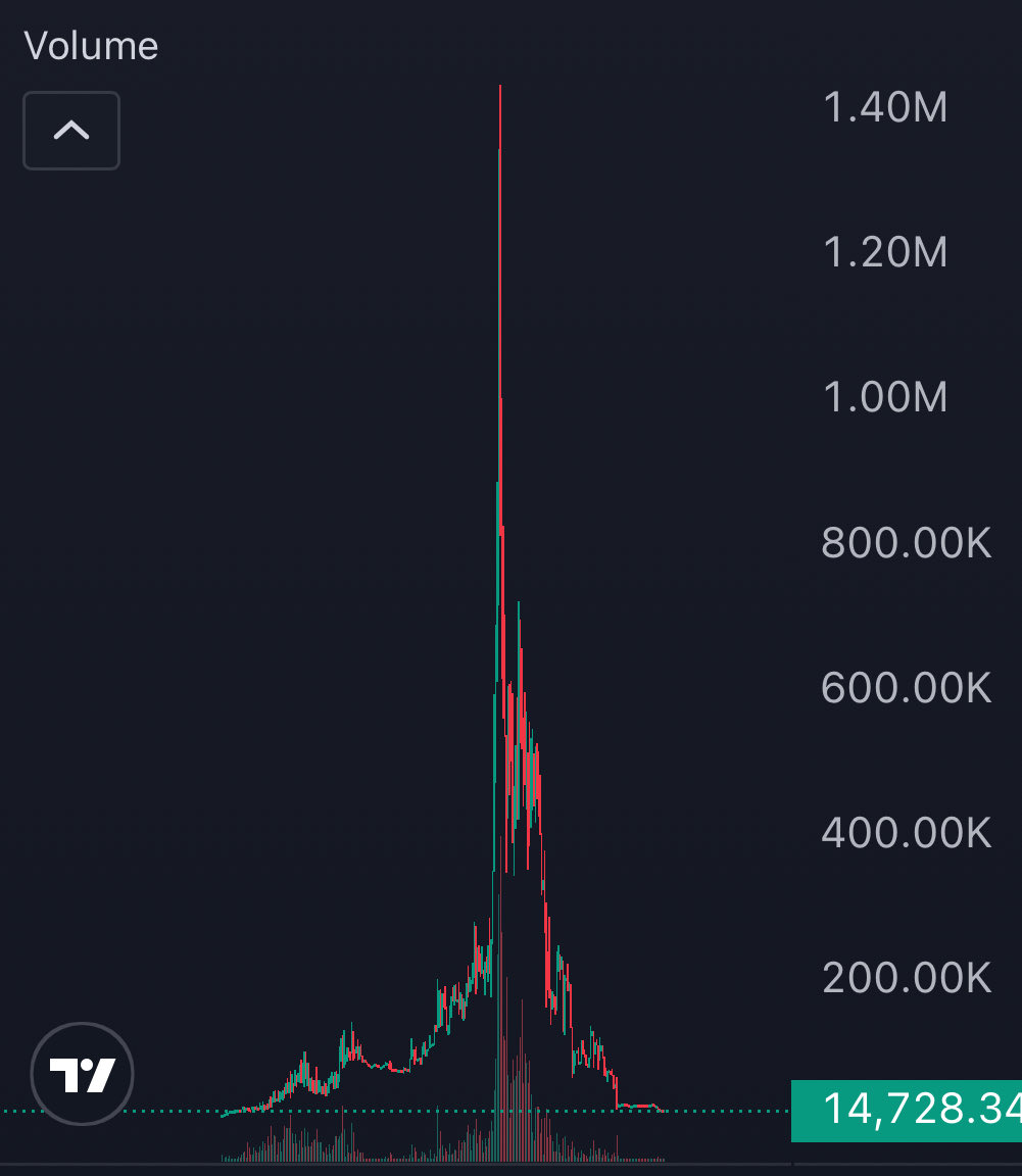 K A L E O tweet media