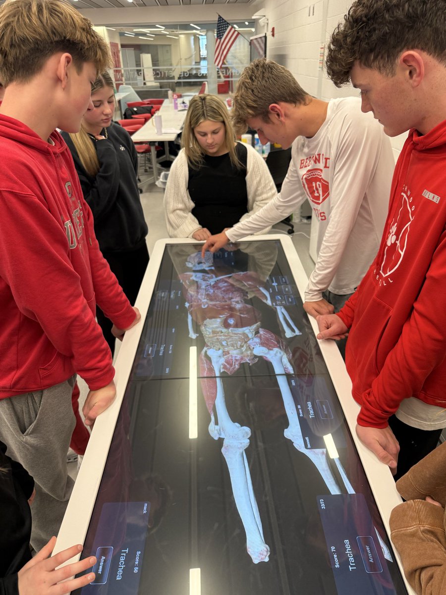 Beechwood Tigers tweet media