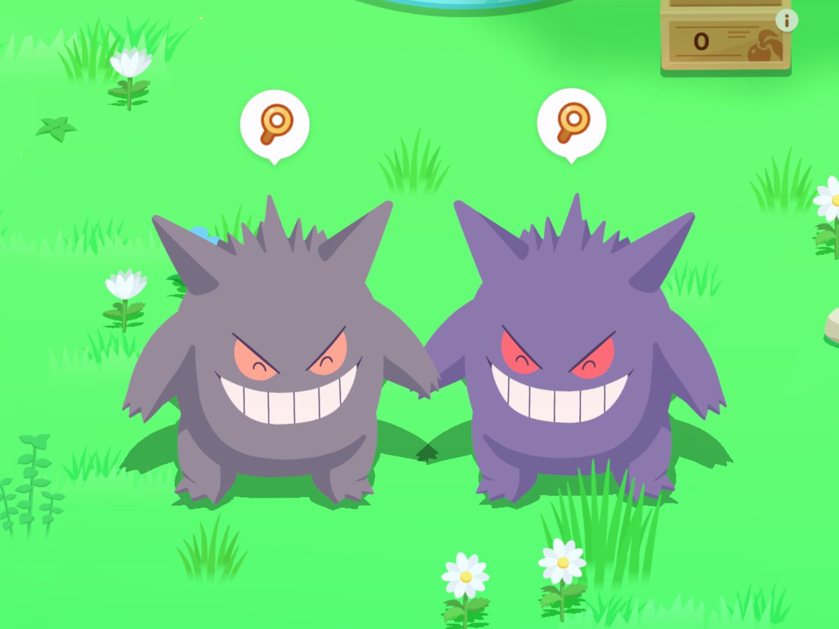 aihoishop's tweet photo. ゲンガーのかわいい２ショット撮れた🙌
#ポケモンスリープ
#ゲンガー https://t.co/UYd48eKiQT
