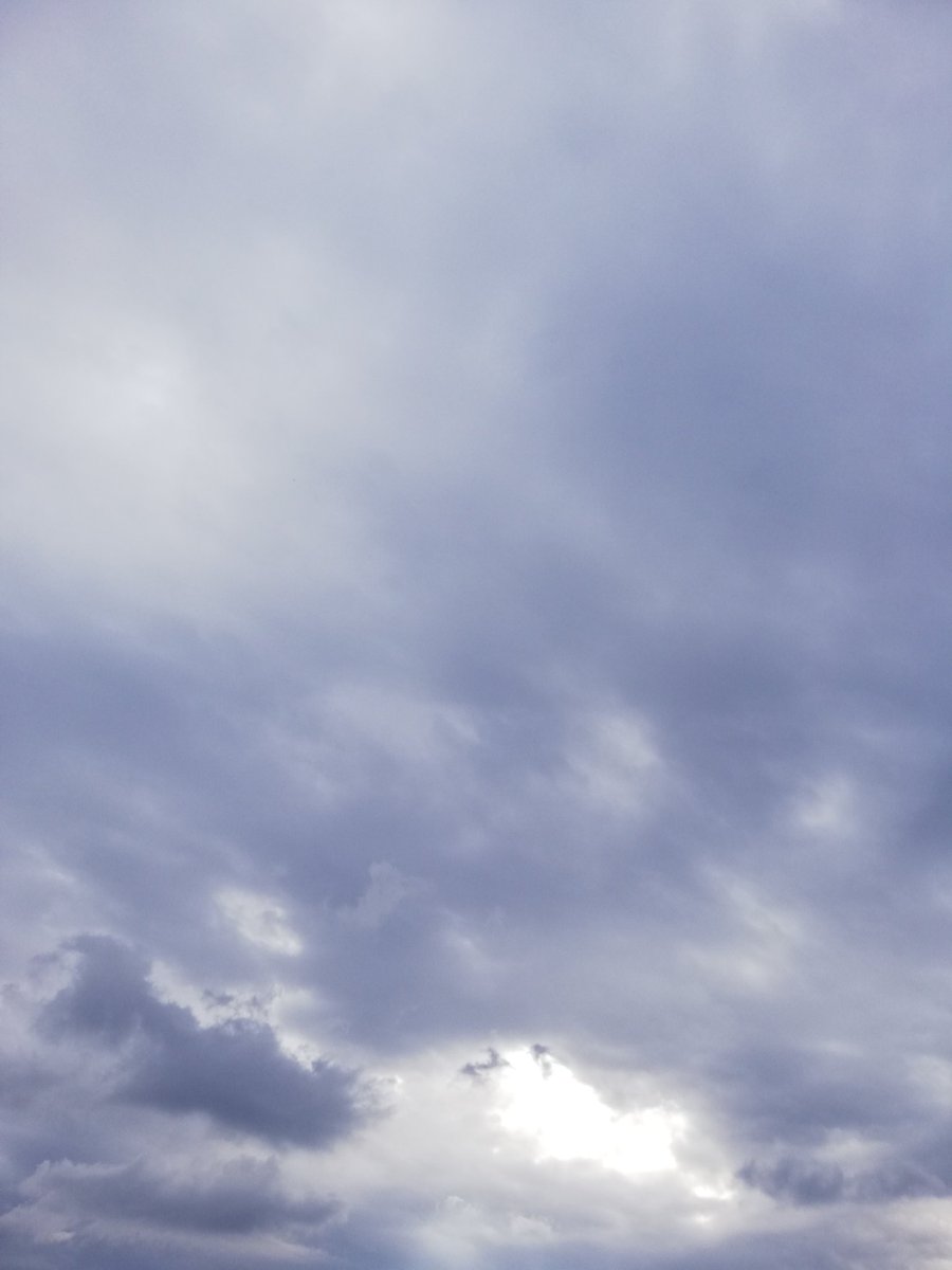2025.11.25