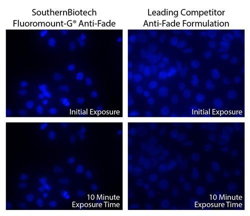 CosmoBio_JPN's tweet image. 🧪Pick UP！組織染色🌈
Fluoromount-G® Anti-Fade

退色防止成分入りの水溶性封入剤で、
蛍光の強度・シグナルをしっかりキープ🔬✨
長時間観察や蛍光保持が重要な顕微鏡のアプリケーションにおすすめです🎨😉

🔗詳細はこちら
cosmobio.co.jp/product/detail…

📘組織染色カタログ
cosmobio.co.jp/upfiles/catalo…