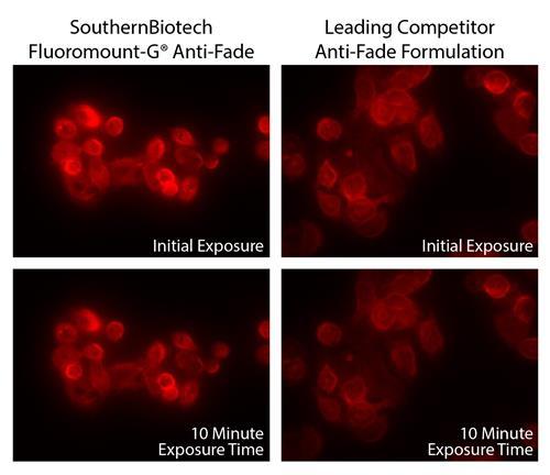 CosmoBio_JPN's tweet image. 🧪Pick UP！組織染色🌈
Fluoromount-G® Anti-Fade

退色防止成分入りの水溶性封入剤で、
蛍光の強度・シグナルをしっかりキープ🔬✨
長時間観察や蛍光保持が重要な顕微鏡のアプリケーションにおすすめです🎨😉

🔗詳細はこちら
cosmobio.co.jp/product/detail…

📘組織染色カタログ
cosmobio.co.jp/upfiles/catalo…