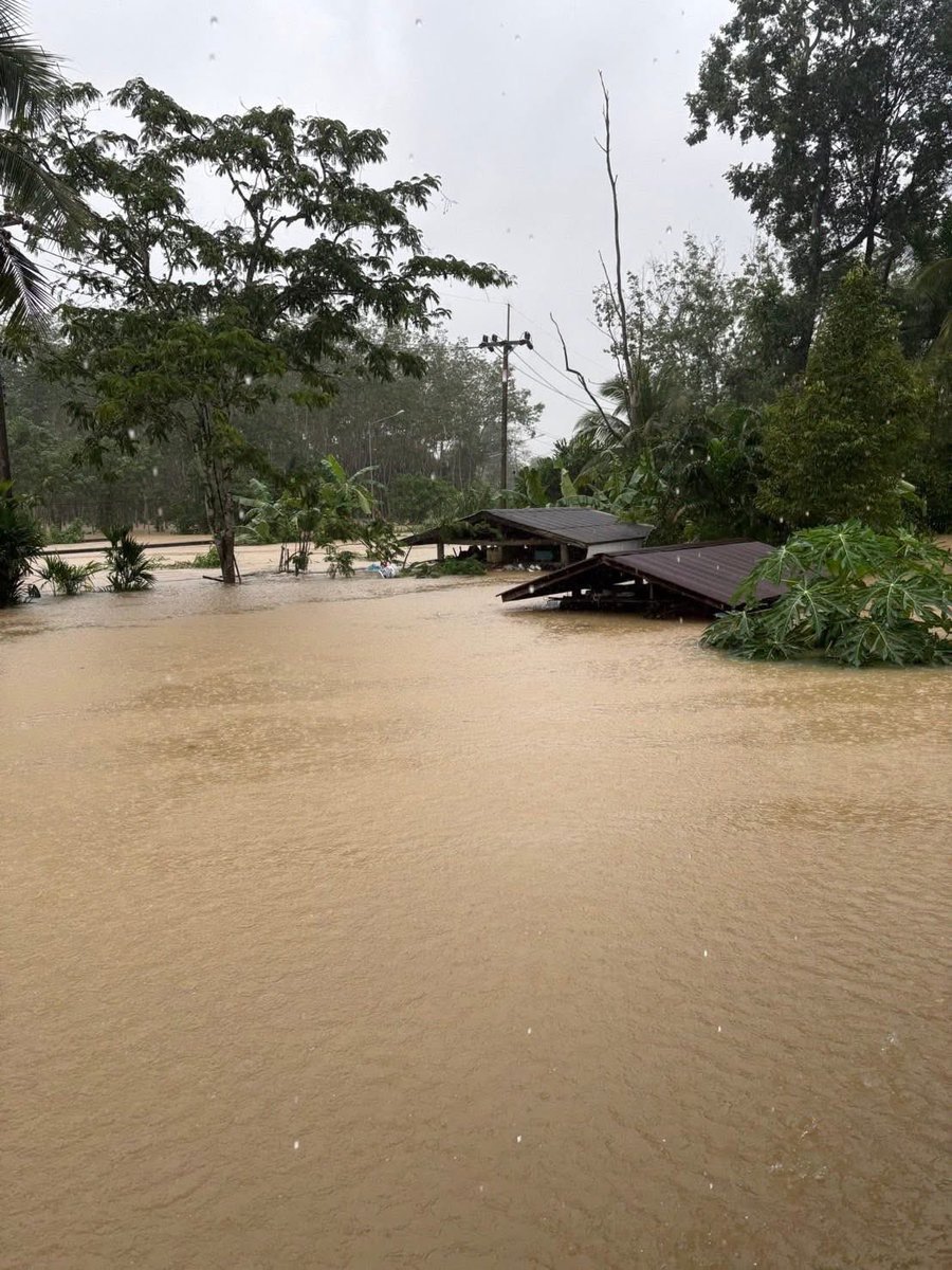 sleeponthebed's tweet image. 🆘ขอความช่วยเหลือด่วน 🆘

📍 : อ.คลองหอยโข่ง
ม. 6 ต.ทุ่งลาน อ.คลองหอยโข่ง จ.สงขลา

ต้องการอพยพ 
- ผู้สูงอายุ 90 ปี 2 คน 
- ผู้สูงอายุ 60 ปี 2 คน
- ผู้ใหญ่ 3 คน

ตอนนี้น้ำขึ้นสูง 3 เมตรแล้ว ไม่มีเรือออกไปได้

รบกวนช่วยเหลือด้วยค่ะ

 064-4166165 (เน) , 0651655651

#น้ำท่วมหาดใหญ่