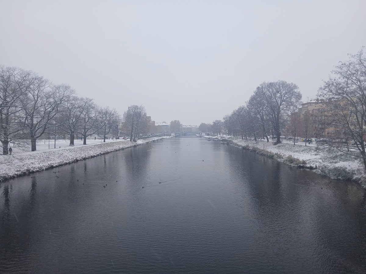 JanSuch6's tweet image. #Labe