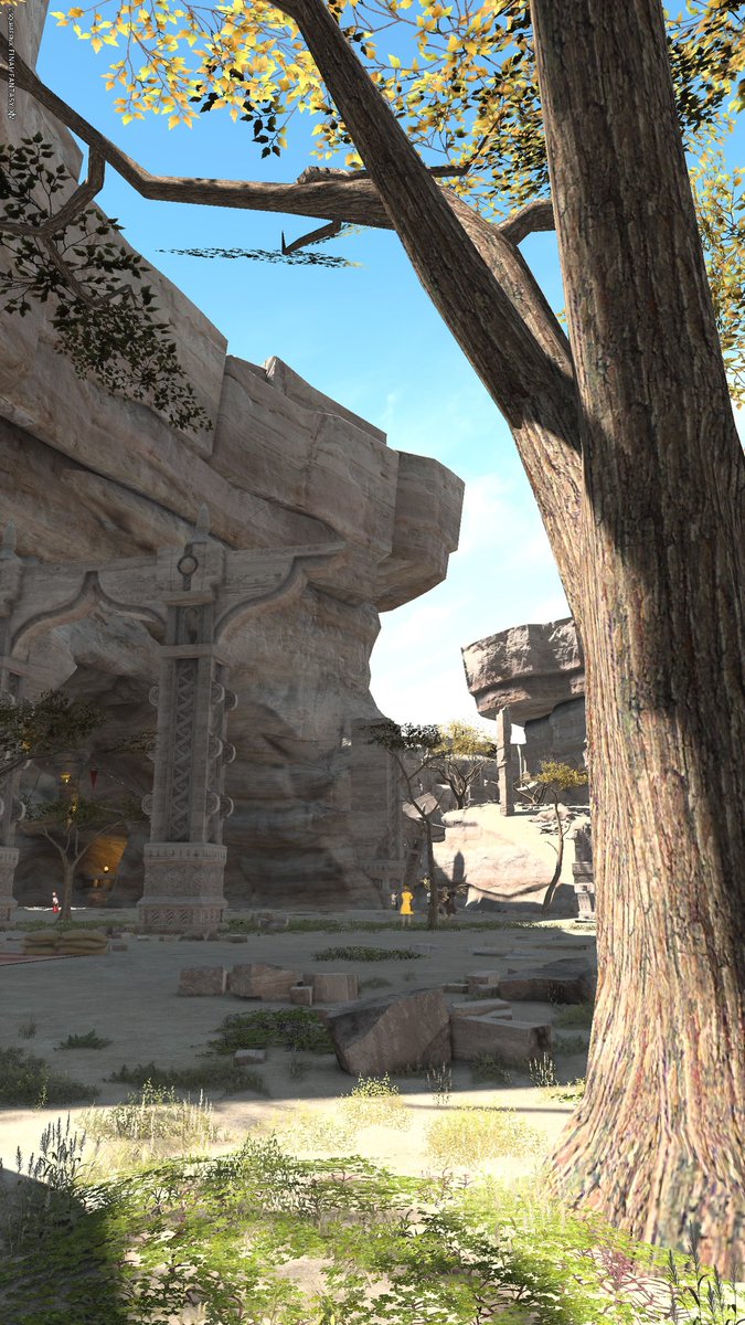 ラールガーズリーチの同じ場所をつよくてニューゲー厶紅蓮編スタートで確認したら木は枯れてないし、リボンも無いし地面の花も無かった。

多分襲撃された時の犠牲者の弔いリボンと思われ（ストーリーで言及あったか忘れた）