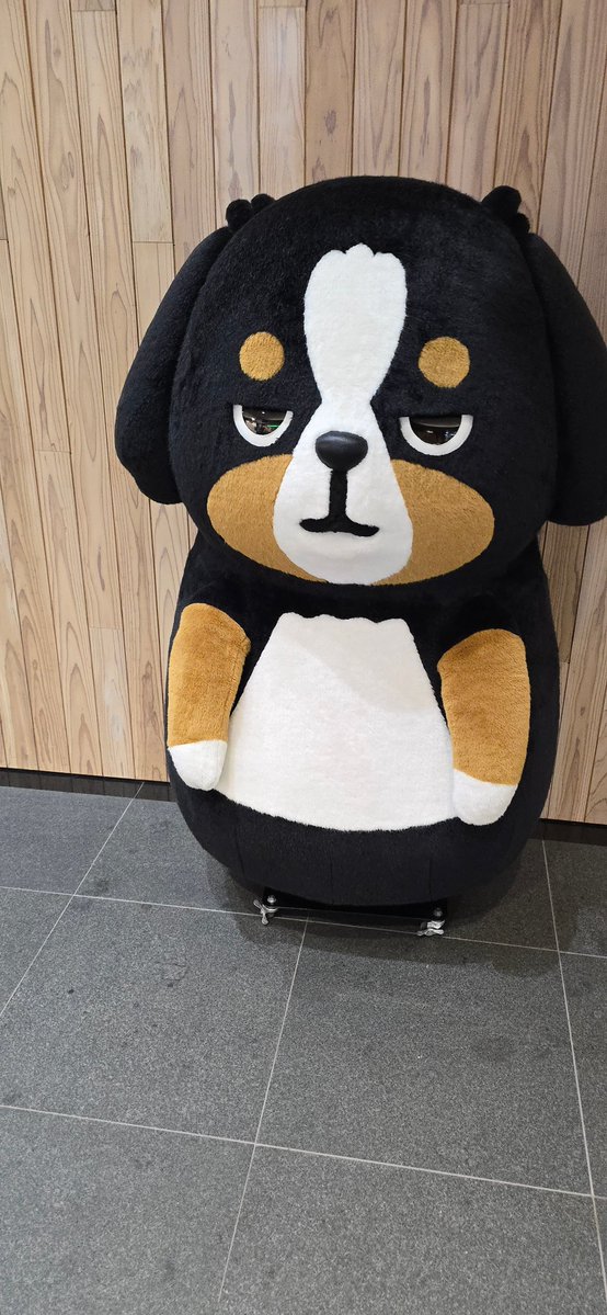 funkuso2nd's tweet image. かわい～～～生き返る～～～、鹿児島銀行～～～～、資本主義の犬と資本主義の熊だ～～～（ぬいぐるみ購入済）