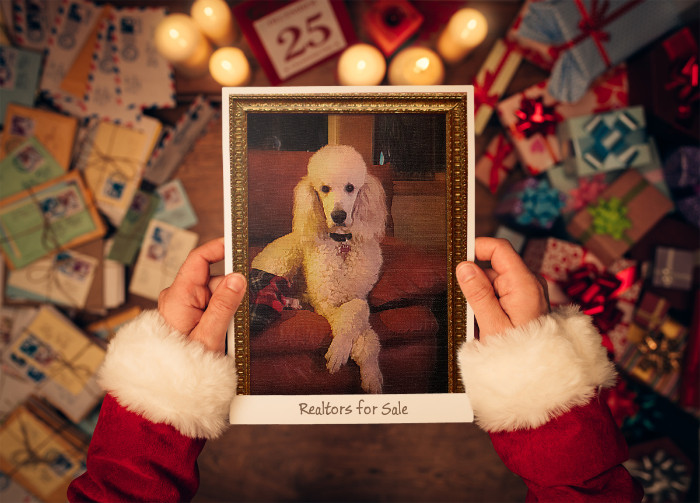 DianeRapp's tweet image. Bentley looks elegant but don&apos;t let his classy appearance fool you! He’s an excellent guard-poodle when it comes to stopping a serial kidnapper. Tamara must remain safe, and he is ready to bite.

REALTORS FOR SALE
viewbook.at/RealtorsForSale 
#BookBoost #IARTG #Mystery