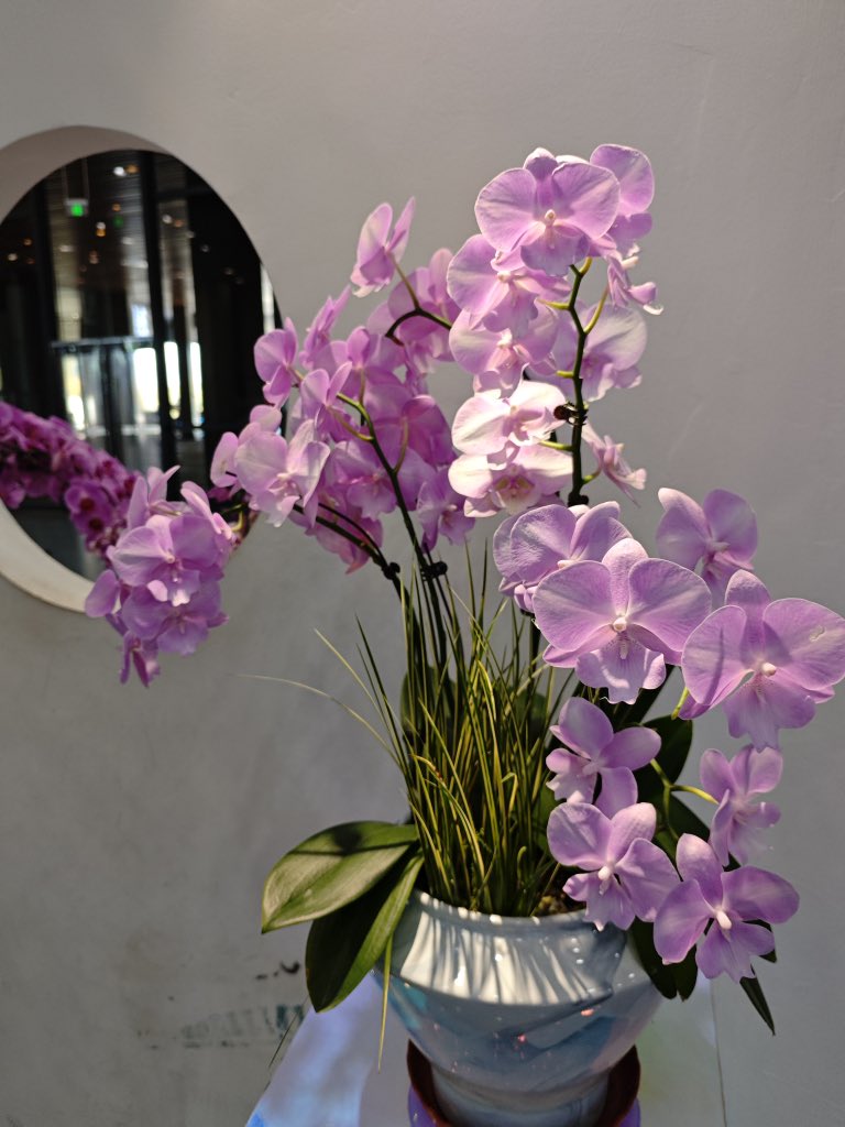 david_andrew123's tweet image. The orchid in the secluded valley retains its fragrance unchanged, a result of adhering to its original aspiration.🌷🌷🌷