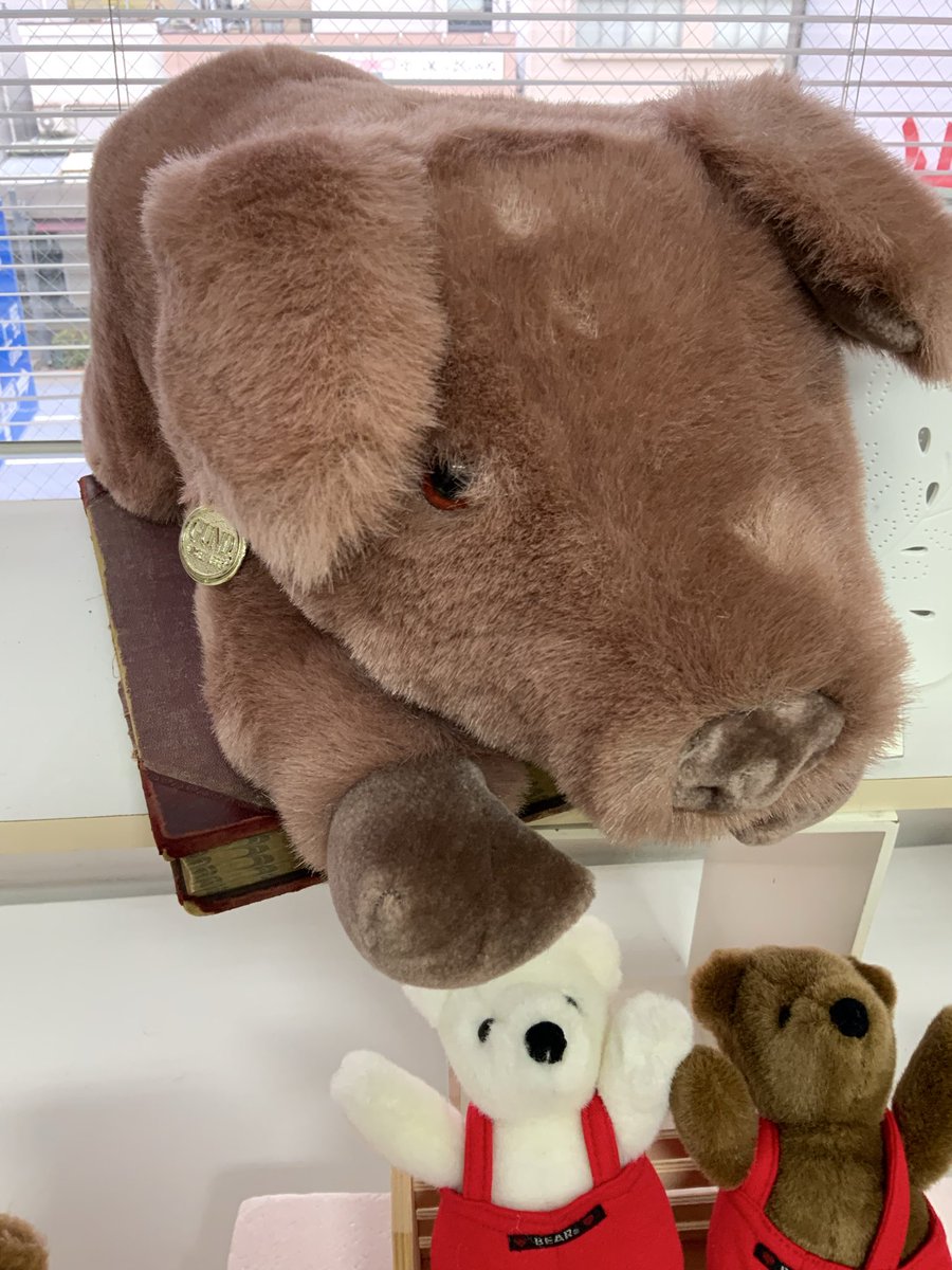 ぬいぐるみの童心【公式】🥺 (@Dousin_kawaii) / Posts / X