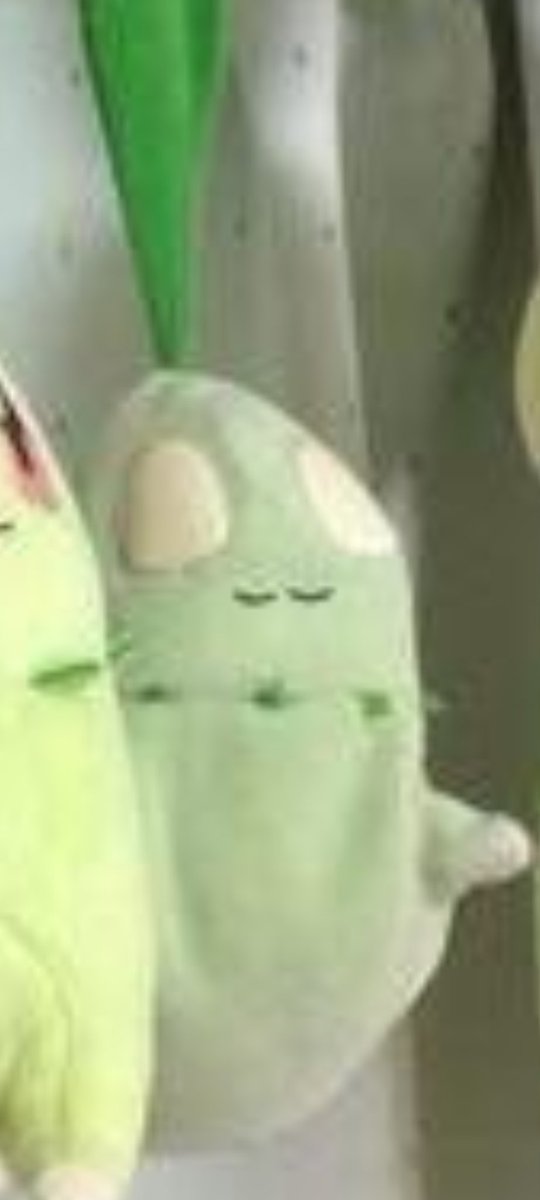 탐로 / Tamrro tweet media