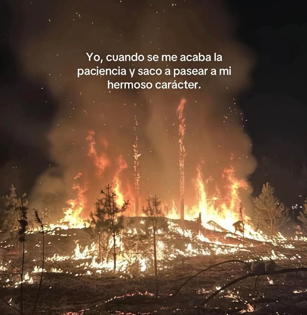 Anyone (@anyxne) on Twitter photo 