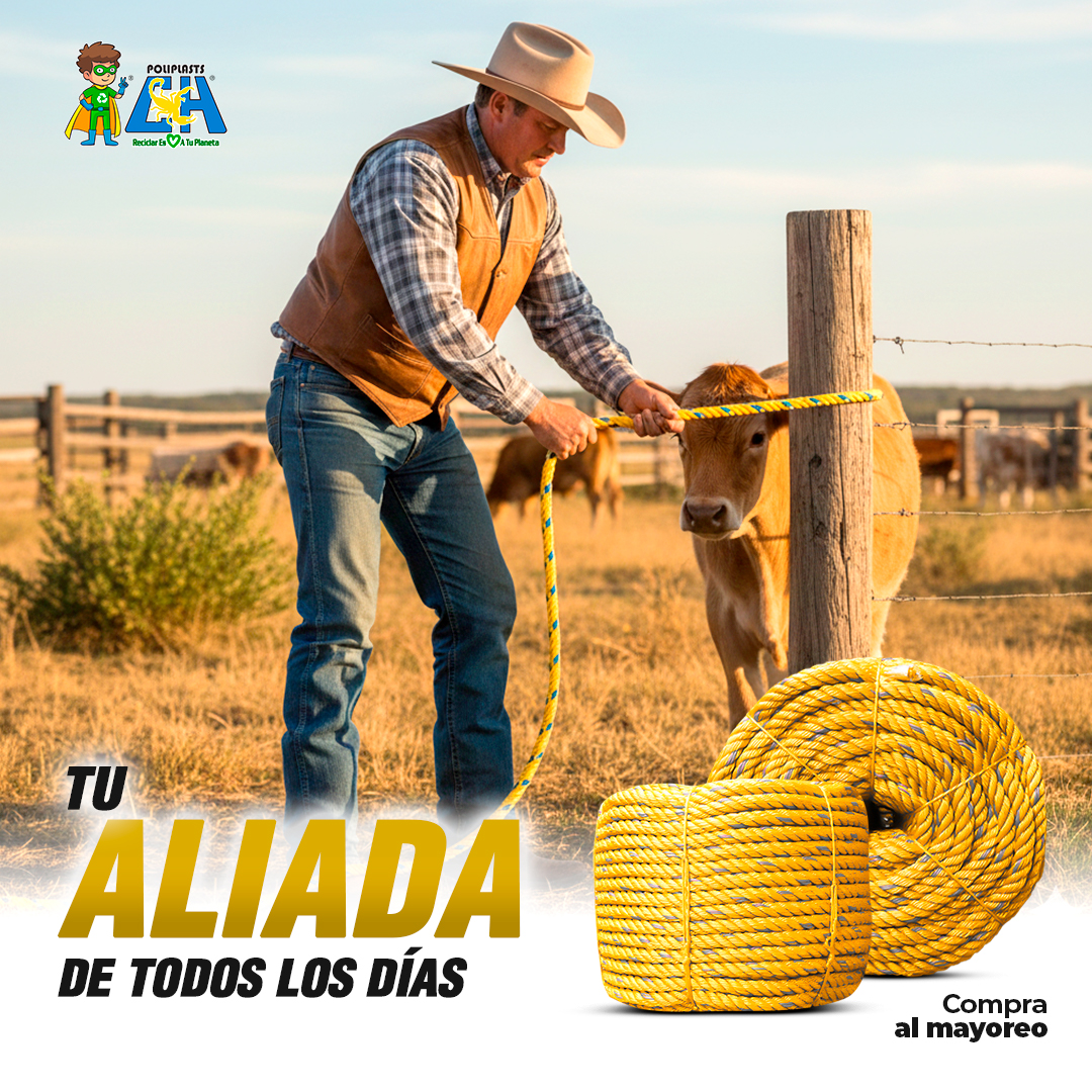 Poliplasts tweet media