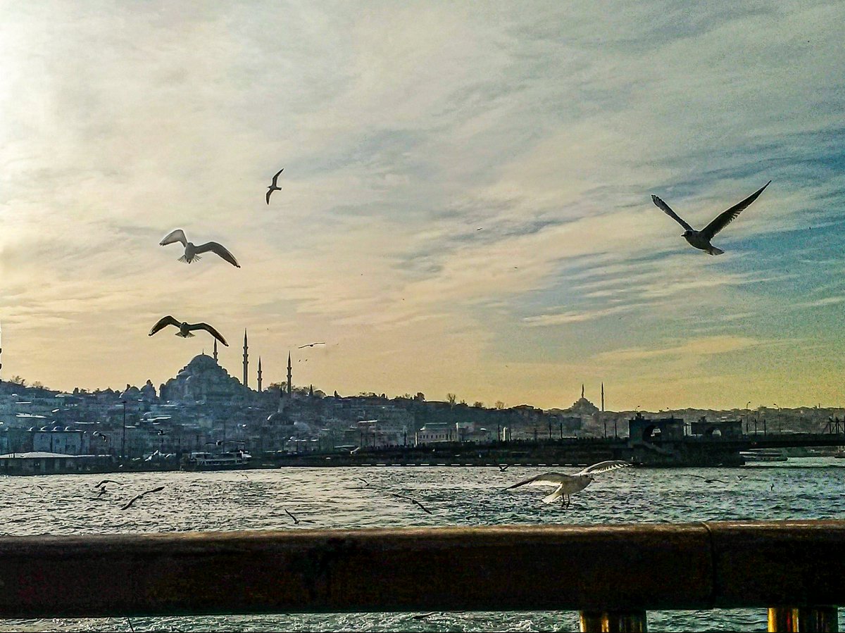 anonXmous97's tweet photo. @biyesbi0 bu kuşlar her seferinde aynı pozu veriyor sanırım :)
bir an deja vu yaşadım 2018'de çekmişim ben de şu fotoyu https://t.co/H0uJ3Jilmn