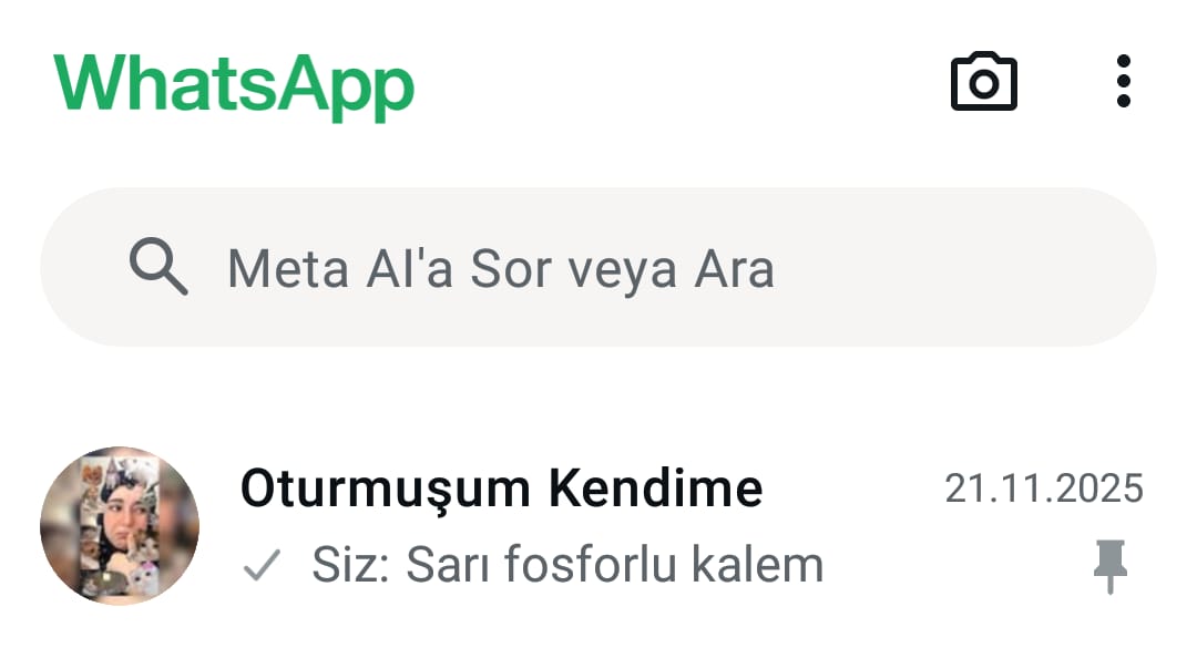 Almam gereken şeyleri kendimle olan grubuma atıyorum ki unutmayayım ve evet sarı fosforlu kalem benim için epey mühim bir nokta onunla çizdiğim her şey sanki daha kolay giriyor zihnime hfjhfjhag