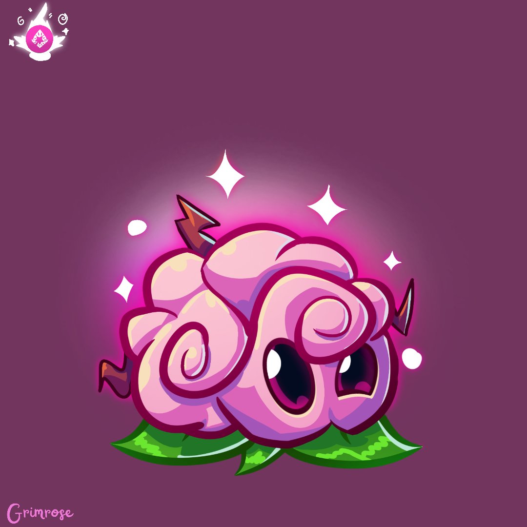 Thoughts ont these plants?