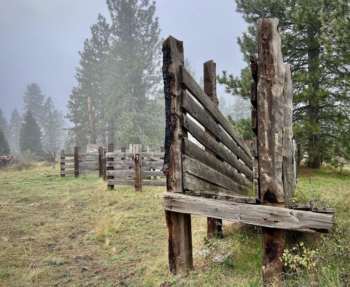 Theme: DIAGONAL

Fire survivor diagonal fence line leading to a diagonal loading chute, amongst the evergreens in the southern Sierra Nevada mountains. California.

#PMJWeeklyChallenge #Diagonal <a href="/pmj_photos/">father and son | amateur photographers</a>