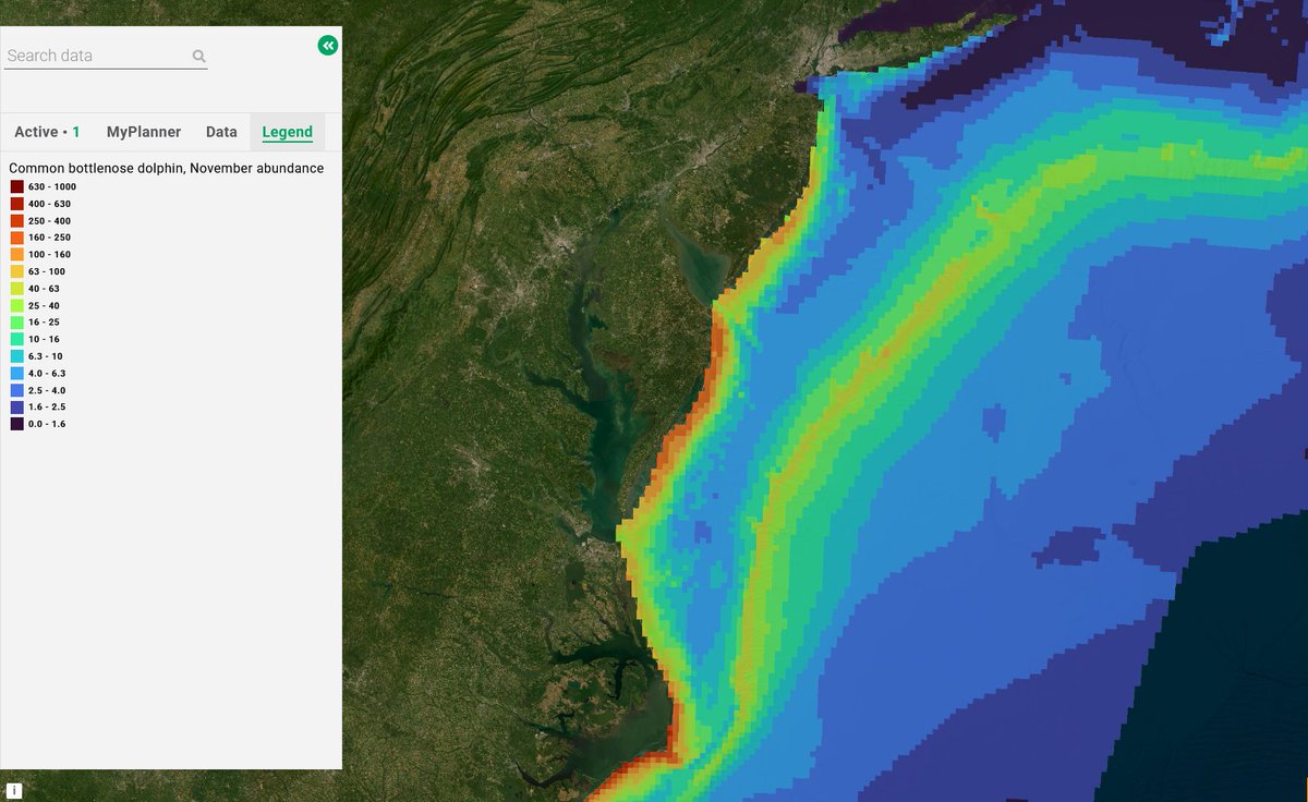 #MapMonday: Modeled abundance of bottlenose #dolphins in a typical November off the Mid-Atlantic coast 🐬 Browse the Portal’s Marine Life Library at portal.midatlanticocean.org/visualize for thousands of species maps for #marinemammals, #fish and #birds. 
#mondaymapday #mappingmonday